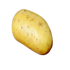 Potato