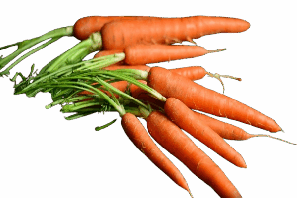 Carrots